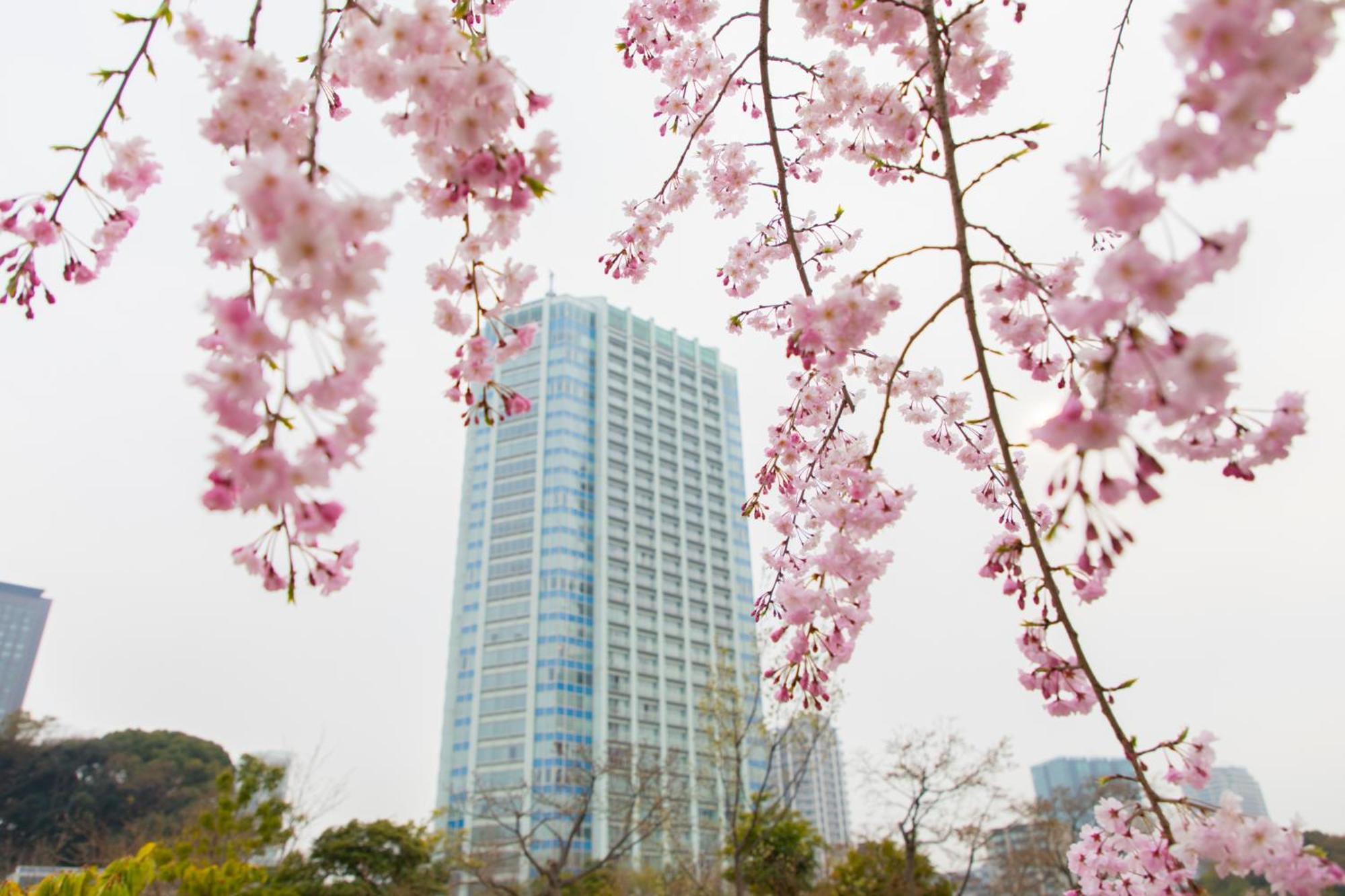 The Prince Park Tower Tokyo - Preferred Hotels & Resorts, Lvx Collection Exterior photo